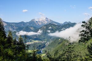 Großreifling von Sattel-0076-2025-06-24.jpg