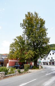 ND 893 AltenmarktSG-0657-2025-08-06.jpg