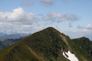 Plannerseekarspitze 84365 2014-06-26.jpg