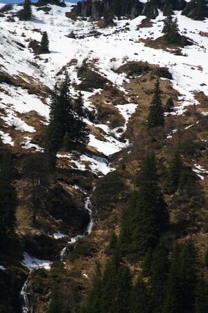 Strickerkar 55621 2014-05-02.jpg