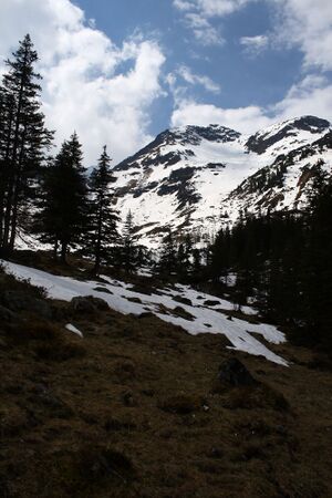 Strickerkar 55679 2014-05-02.jpg