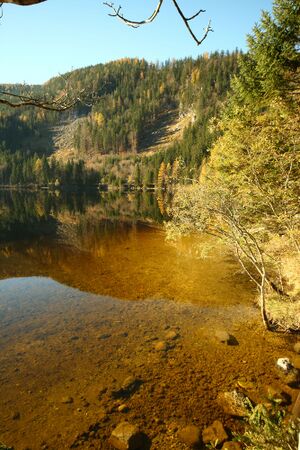 Ödensee 77925 2014-11-03.jpg
