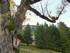 Almkreuz sulzkaralm01.JPG