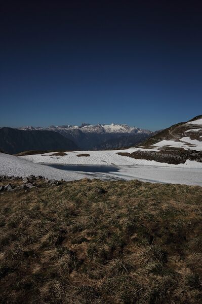 Datei:Augstsee loser 50327 2017-06-11.jpg