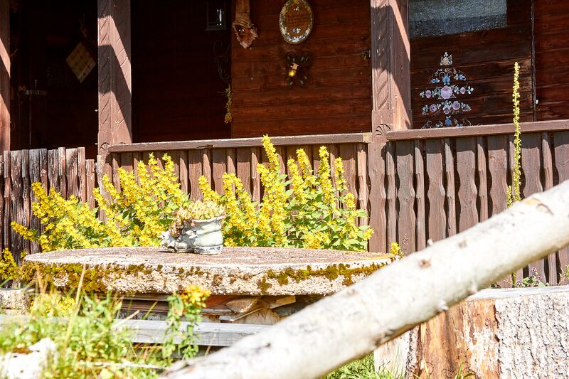Datei:Bärenfeichtenalm-3114-2021-08-03.jpg