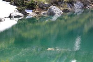 Dreibrüdersee 77811 2018-06-04.jpg