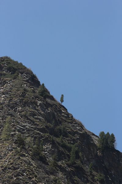 Datei:Fleischhacker sattental 46082 2017-05-19.jpg