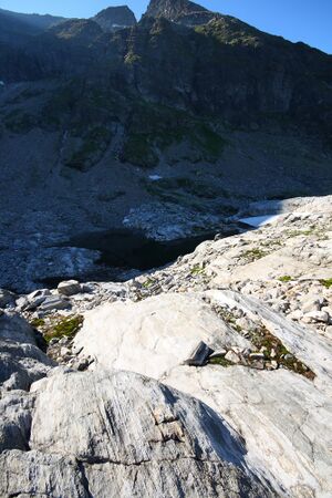 Goldlacken 0387 2008-08-12.jpg