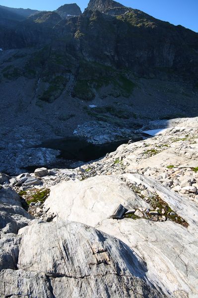 Datei:Goldlacken 0387 2008-08-12.jpg