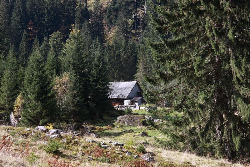 Datei:Grafenalm kleinsölk 74439 2014-10-07.jpg