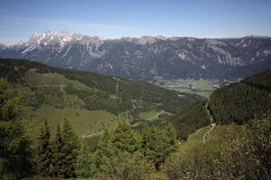 Gumpental 49685 2017-06-09.jpg