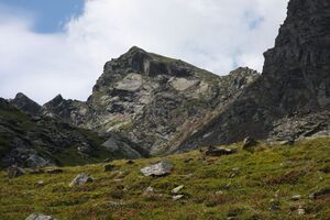 Herzmaierkar 32523 2011-07-06.jpg