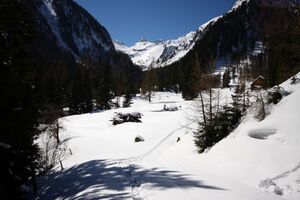 Hoferalm obertal 98671 2015-04-09.jpg