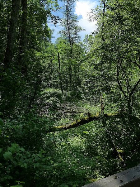 Datei:Lettmair Au.JPG