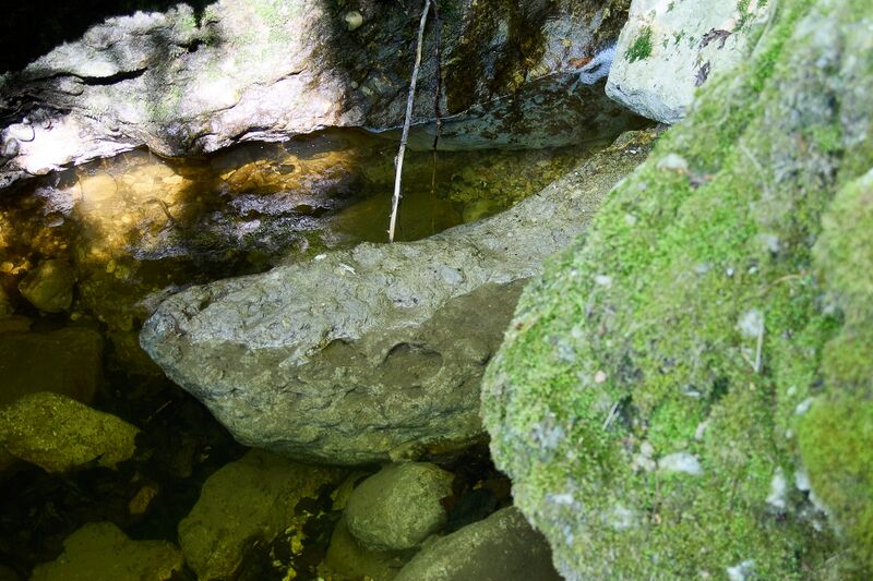 Datei:ND 356 Teichenbach Unterkainisch-0222-2025-05-01.jpg