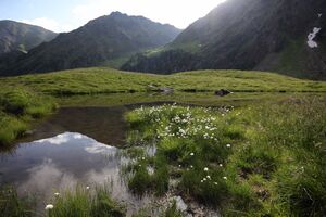 Südl-see tuchmoarkar 79727 2018-07-04.jpg