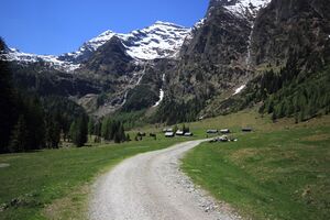 Sattental 45842 2017-05-19.jpg