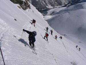 Wildkar 2601 2007-03-11.jpg