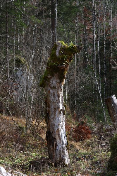 Datei:Altaussee seewiese 79065 2014-11-15.jpg