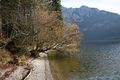 Altausseer See 78857 2014-11-15.jpg