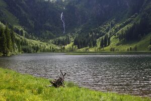 Bodensee seewigtal 63542 2014-06-21.jpg