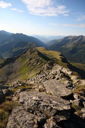 Deneck 27607 2010-08-11.jpg