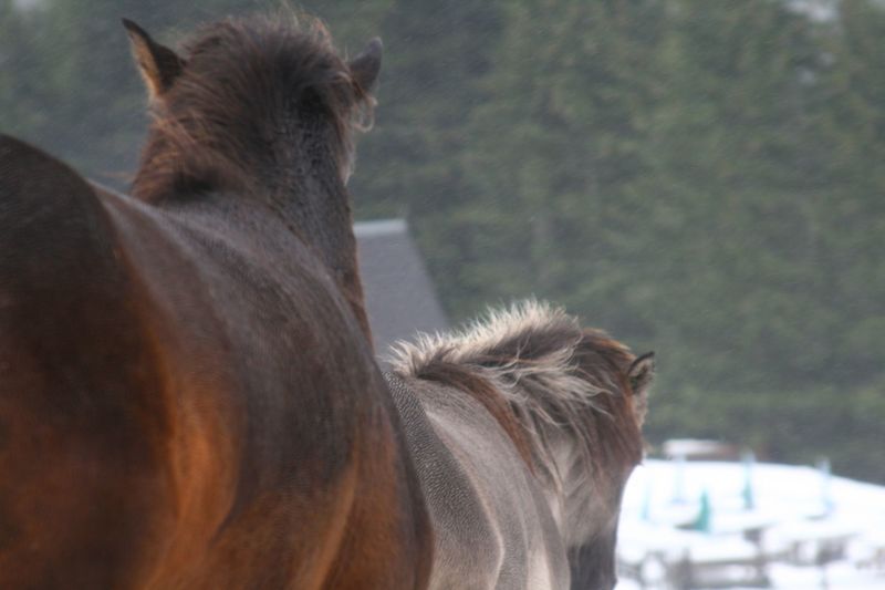 Datei:Duisitzkar 0156 2007-09-07.jpg