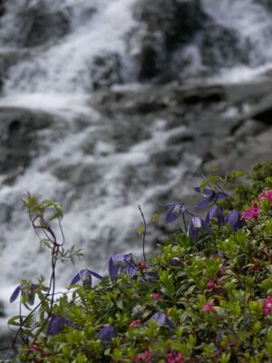 Duisitzkar 15961 2006-07-03.jpg