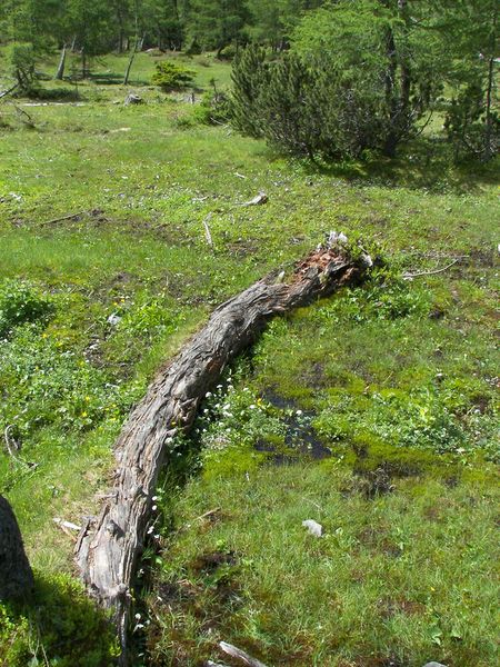 Datei:Duisitzkar 15977 2006-07-03.jpg