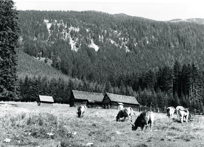 Datei:Hörantalm 1966.jpg