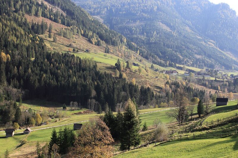 Datei:Hinterwald kleinsölk-30-2018-10-16.jpg