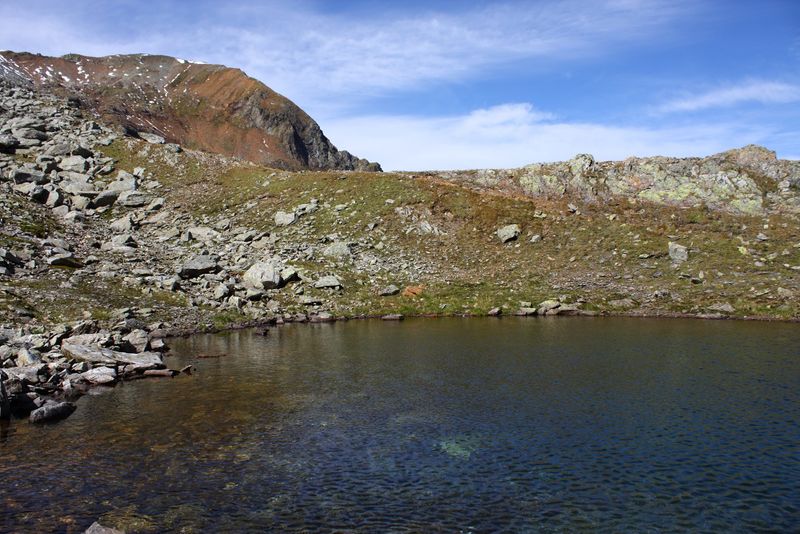 Datei:Nördliche krukecklacke 01693 2015-09-13.jpg