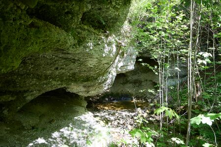 ND 356 Teichenbach Unterkainisch-0247-2025-05-01.jpg