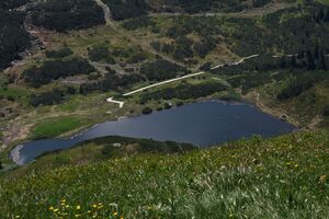 Plannersee 65249 2014-06-26.jpg