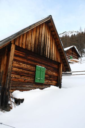 Pleschnitzalm 80941 2015-01-08.jpg