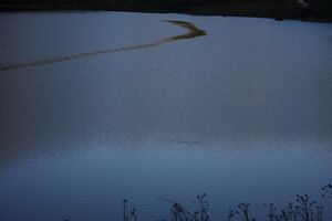 Riesachsee 35969 2011-08-23.jpg