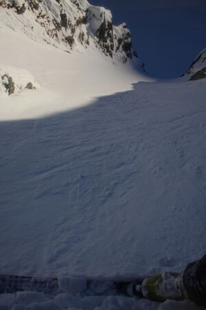 Schnabelkar 77446 2011-02-02.jpg