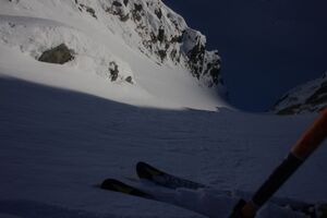 Schnabelkar 77452 2011-02-02.jpg