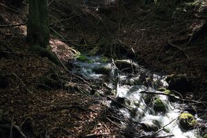 Strummern mühlreith 47243 2017-05-17.jpg