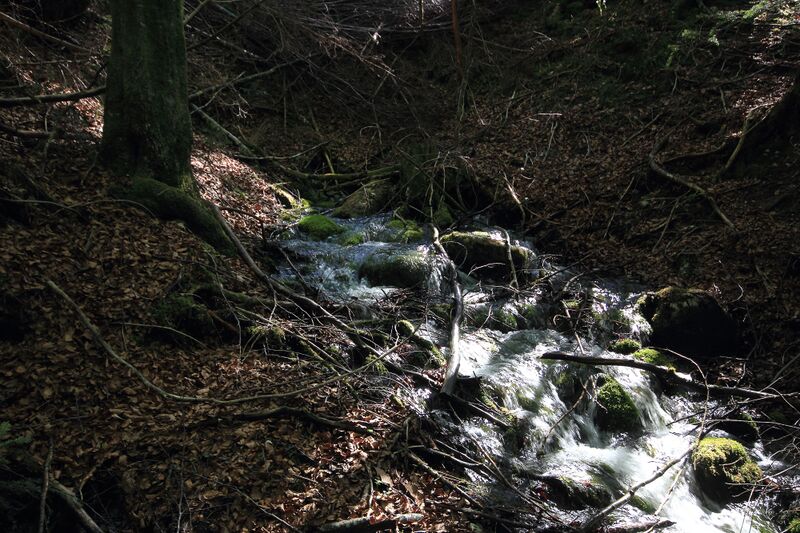 Datei:Strummern mühlreith 47243 2017-05-17.jpg