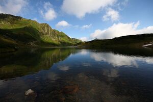 Untere riednersee 65389 2014-06-26.jpg