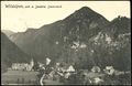 Wildalpen 1906.jpg