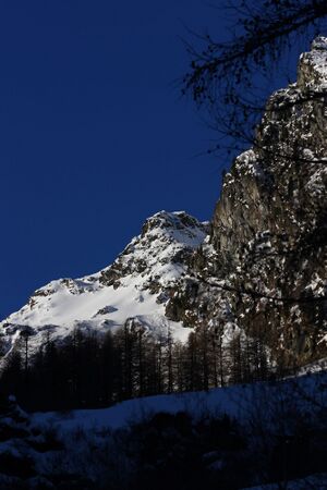 Wildkar 44996 2014-03-09.jpg