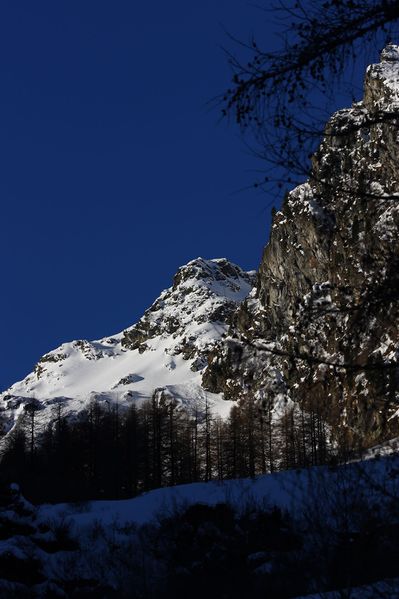 Datei:Wildkar 44996 2014-03-09.jpg