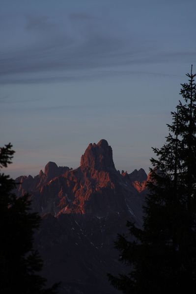 Datei:Bischofsmütze-rossbrand 28224 2010-09-12.jpg