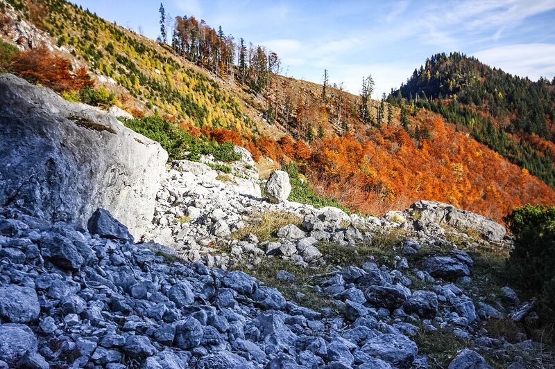 Datei:Buchwald grimming-1000-2015-10-28-5.jpg