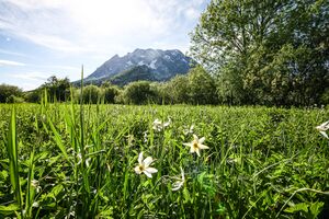Europaschutzgebiet niederstuttern5005.jpg