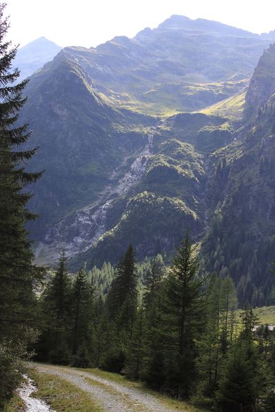 Datei:Fleischhacker -sattental 56644 2017-08-25.jpg