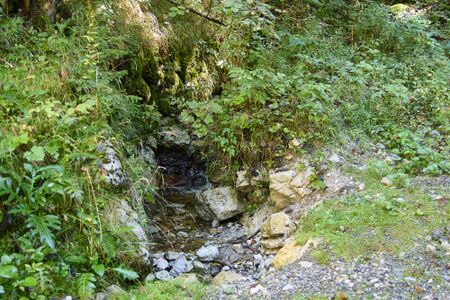 Gerinne 603881 Schaufelhacker buchau-0123-2025-09-15.jpg