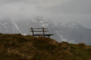 Guschen 20073 2007-09-28.jpg